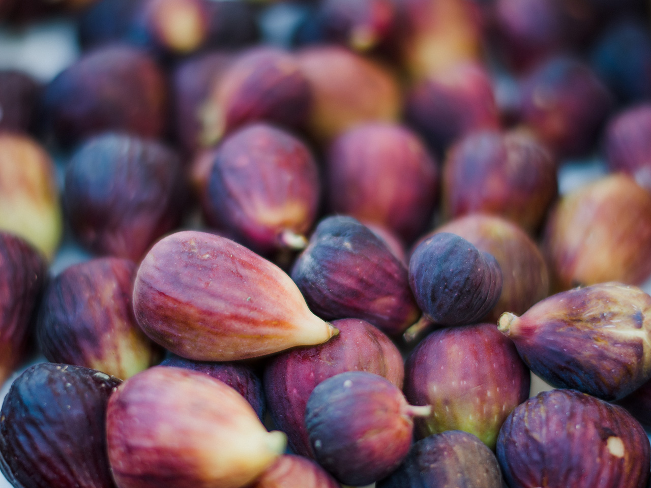 Local Farmers Markets