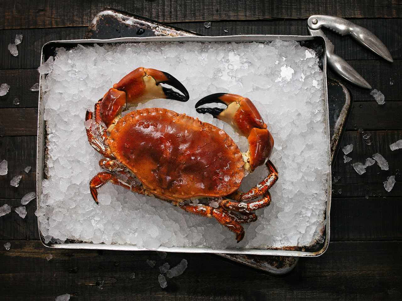 Best Seafood In San Francisco